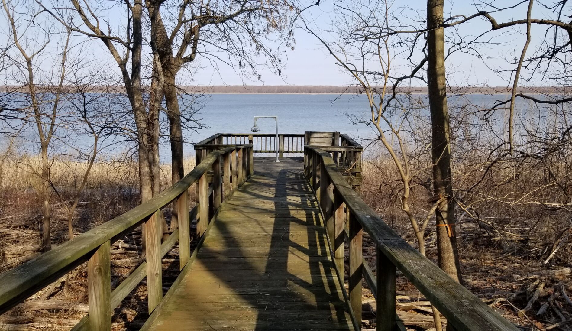 20220324_114512.jpg